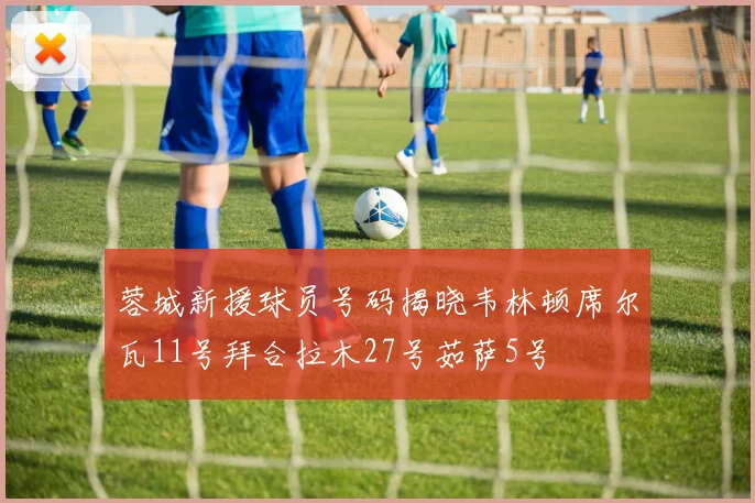 蓉城新援球员号码揭晓韦林顿席尔瓦11号拜合拉木27号茹萨5号