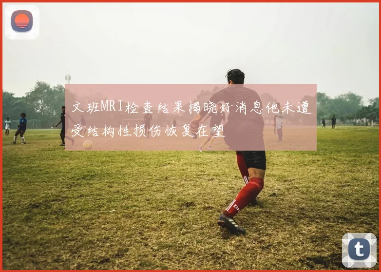 文班MRI检查结果揭晓好消息他未遭受结构性损伤恢复在望