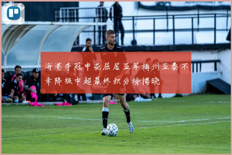 海港夺冠申花屈居亚军梅州亚泰不幸降级中超最终积分榜揭晓